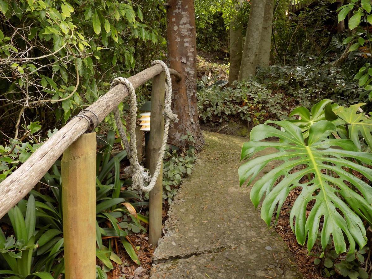 Protea Guest House Knysna Eksteriør bilde