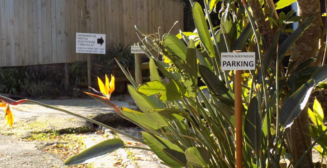 Protea Guest House Knysna Eksteriør bilde