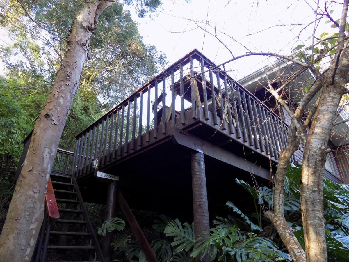 Protea Guest House Knysna Eksteriør bilde