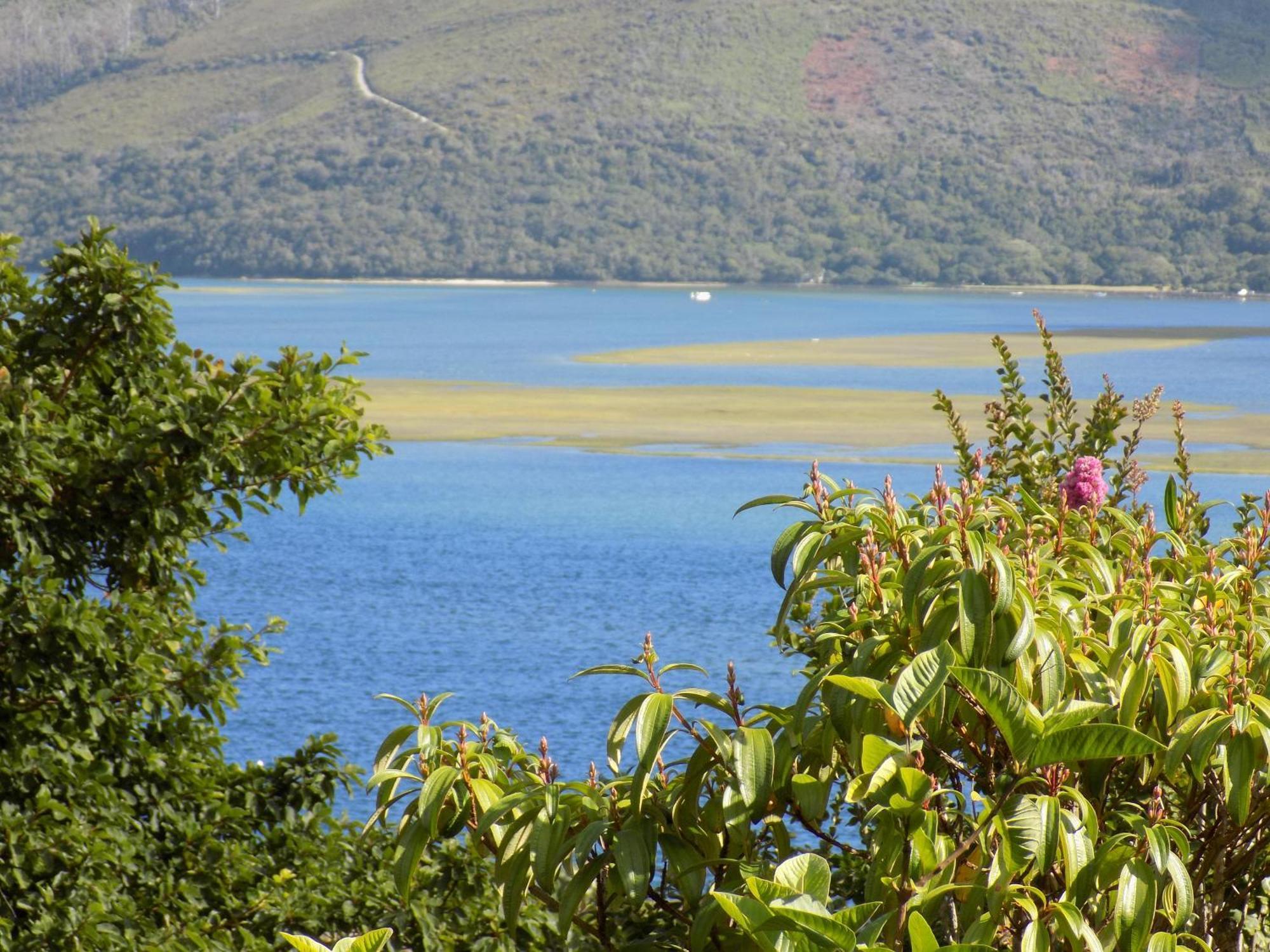 Protea Guest House Knysna Rom bilde